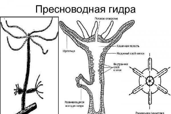 Омг даркмаркет