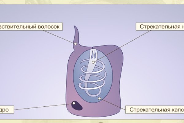 Как сделать заказ на кракен