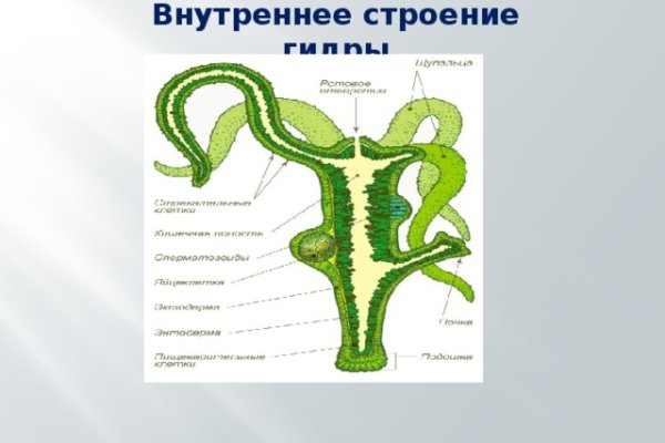 Новый адрес кракен