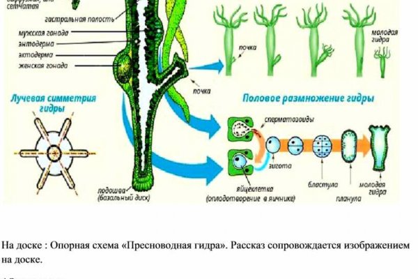 Нарко маркетплейсы