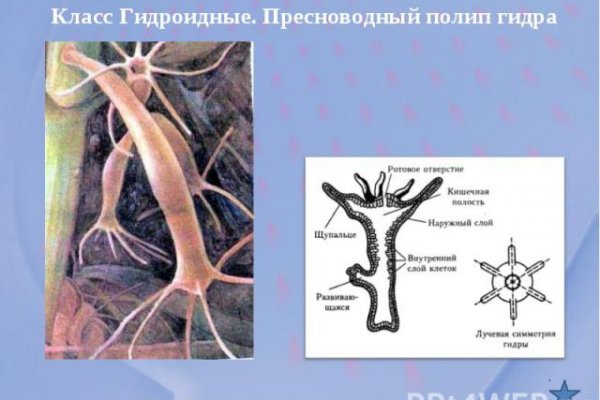 Как выводить деньги с кракена